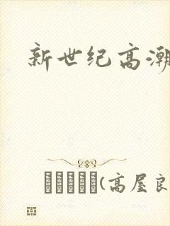 新世纪高潮战队