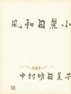 风和日丽小说