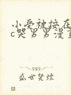 小受被按在墙上c哭男男漫画