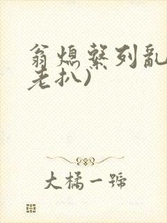 翁熄系列乱 (老扒)