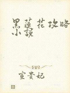 黑莲花攻略手册小说