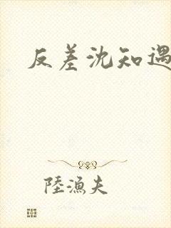 反差沈知遇晏应