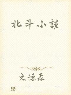 北斗小说