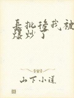 长批后我被宿敌爆炒了