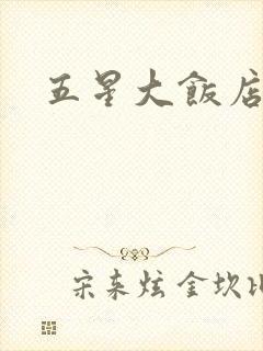 五星大饭店小说
