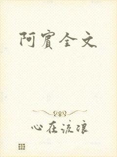 阿宾全文