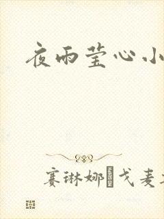 夜雨莹心小说