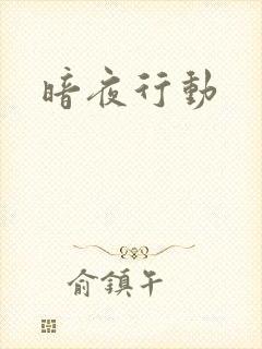 暗夜行动