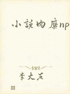 小说肉糜np