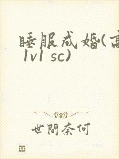 睡服成婚(高h 1v1 sc)