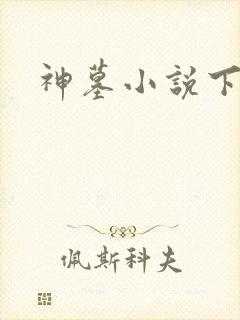 神墓小说下载