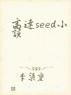 高达seed小说
