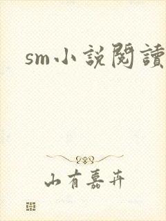 sm小说阅读