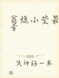 翁熄小莹最新节章