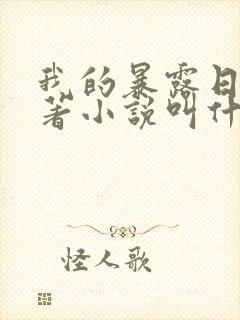 我的暴露日记原著小说叫什么