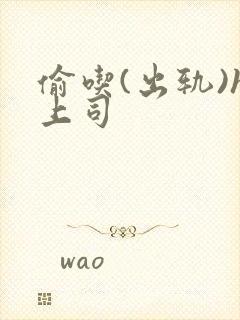 偷吃(出轨)h上司