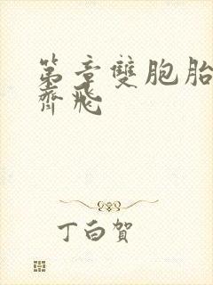 第章双胞胎姐妹齐飞