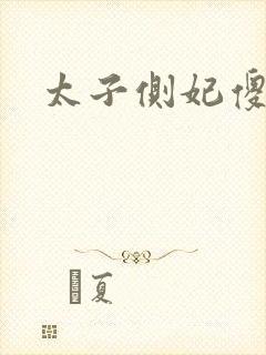 太子侧妃傻乎乎