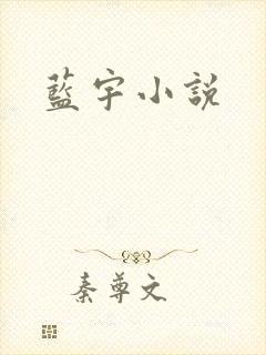蓝宇小说