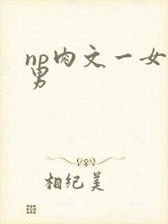 np肉文一女多男