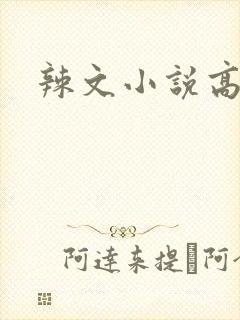 辣文小说高h