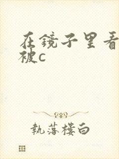 在镜子里看自己被c