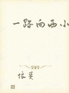 一路向西小说