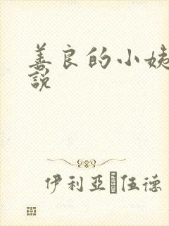 善良的小姨子小说