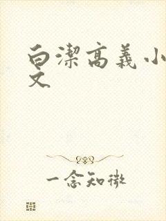 白洁高义小说全文