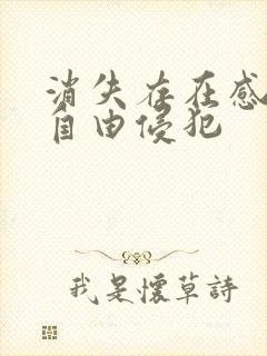 消失存在感消失自由侵犯