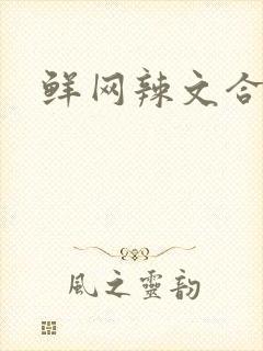 鲜网辣文合集