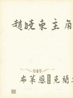 赵晓东主角小说