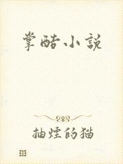 掌酷小说