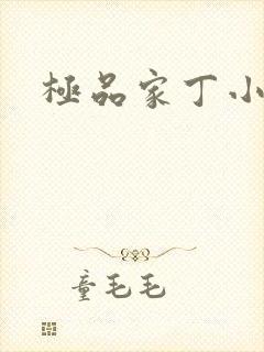 极品家丁小说