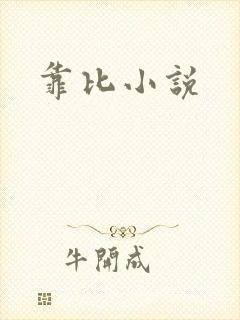 靠比小说封面