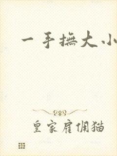 一手抚大小说