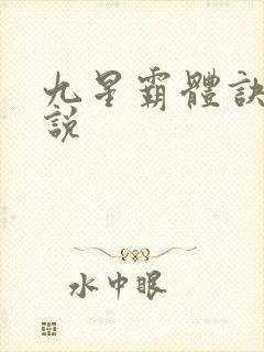 九星霸体诀 小说