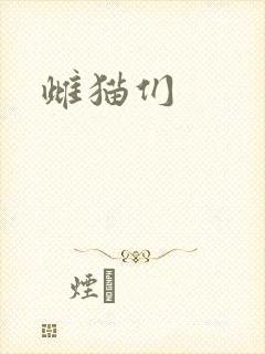 雌猫们