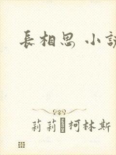 长相思 小说