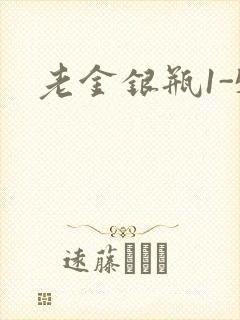 老金银瓶1-5