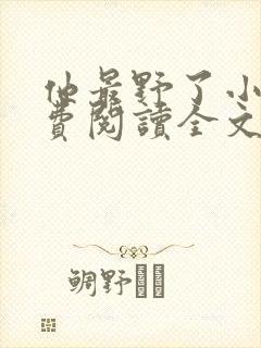 他最野了小说免费阅读全文