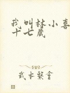我叫林小喜今年十七岁