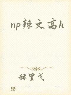np辣文高h