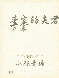 唐家的夫君们帘下衾