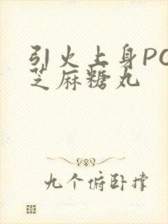 引火上身POP芝麻糖丸