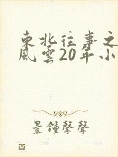 东北往事之黑道风云20年小说