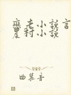 恋老小说言情网农村小说