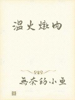 温火炖肉