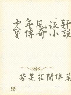 少年风流轩辕大宝传奇小说