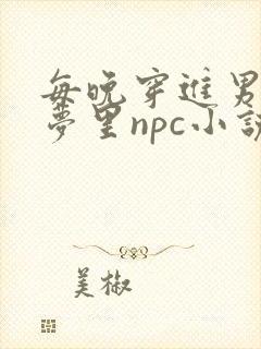 每晚穿进男神的梦里npc小说